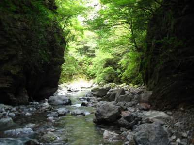 IMG_5947.jpg (325.59 KiB) 閲覧された回数 5963 回 行合