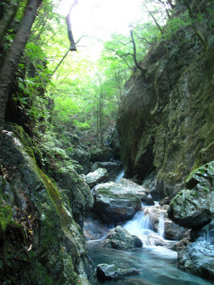 五所ヶ滝最下部