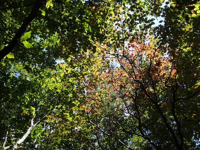 DSC08048 のコピー.JPG