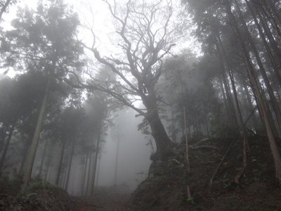 DSC07852 のコピー.JPG