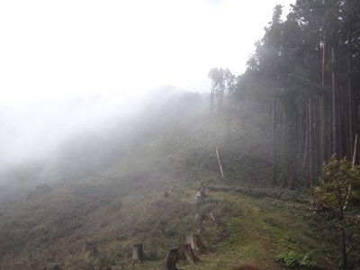 DSC07978 のコピー.JPG