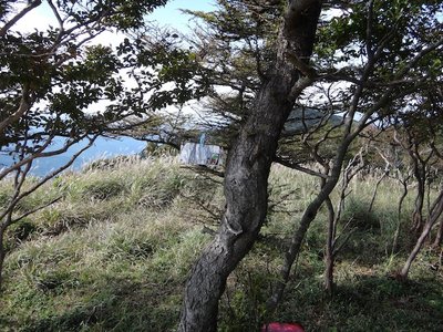 DSC08104 のコピー.JPG