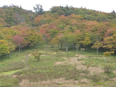 明神平の紅葉　１０月１４日