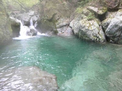 12 10 14_5669.JPG (208.78 KiB) 閲覧された回数 5879 回 深い滝壺を持った滝 前回は泳いで直登した