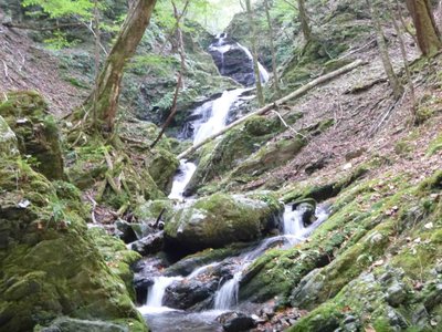 12 10 14_5689.JPG (308.83 KiB) 閲覧された回数 5879 回 テッポウ谷から落ちる多段の滝