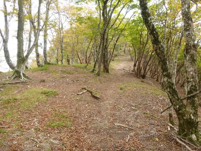 12 10 14_5708.JPG (604.97 KiB) 閲覧された回数 5880 回 雰囲気のいい縦走路