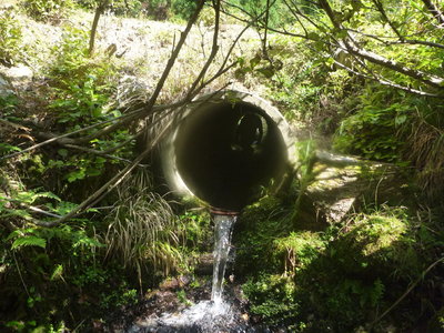 土管をくぐるO態