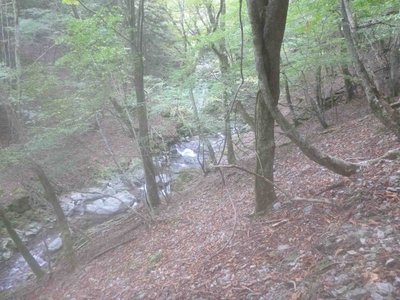 癒しの源流　奥山谷