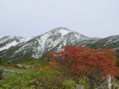 紅葉と初雪の火打山