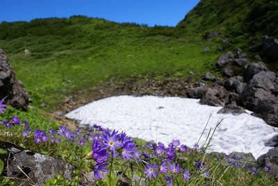 DSC02954.jpg (102.06 KiB) 閲覧された回数 10495 回 ヤブを抜けるとそこには天国が