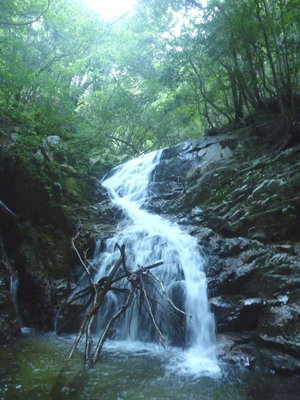 入渓点下部の滝