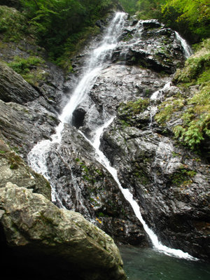 IMG_6094.jpg (389.76 KiB) 閲覧された回数 5268 回 サスケ滝