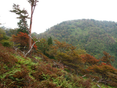 IMG_6118.jpg (373.93 KiB) 閲覧された回数 5265 回 奥ノ平峰より