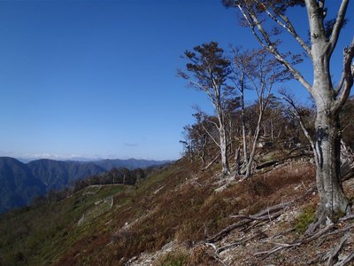 20121020-14.jpg (155.1 KiB) 閲覧された回数 7255 回 20121020-14.jpg