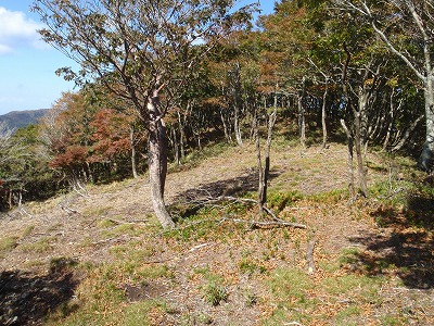 イイココ(1155)広場