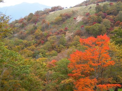 DSCN3544_925.jpg (319.66 KiB) 閲覧された回数 4614 回 第二から第三<br />赤い羊たち。