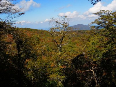 この日のランチ場