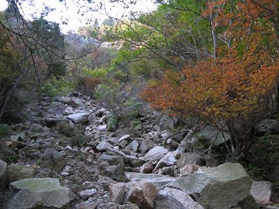 IMG_0073.jpg (285.64 KiB) 閲覧された回数 4298 回 古道