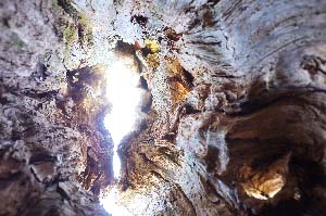 プ～さん目線？