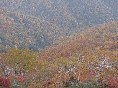 PA210683_640.jpg (53.79 KiB) 閲覧された回数 5961 回 もっと光をー !!