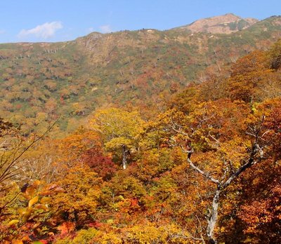 PA210734 の補正_640.jpg (102.71 KiB) 閲覧された回数 5961 回 カメラストップばかりでなかなか進まない (^^ゞ