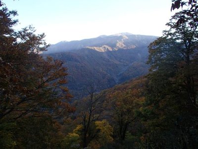 PA210654_640.jpg (46.56 KiB) 閲覧された回数 5961 回 展望所から望む白山主峰部の上には雲もなく、ななめ後方からの朝日を浴びていた。