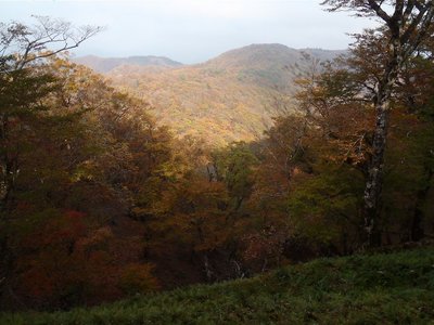 縦走路から見る木梶馬駈け場