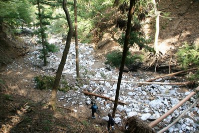 IMG_0870.jpg (469.91 KiB) 閲覧された回数 6268 回 コグルミ谷