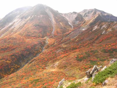 お花松原って本当に白山の『涸沢』ですね。