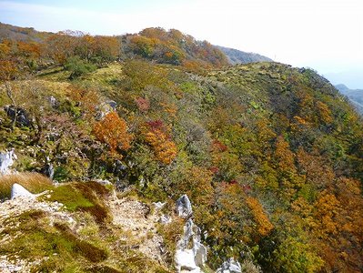 人のいないボタンブチ