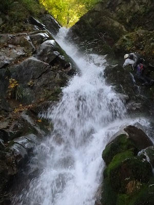 濡れたくないけど飛沫でぬれぬれ