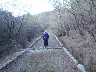 ここまでやるか？東海自然歩道