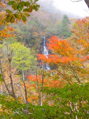 杣道から連瀑帯