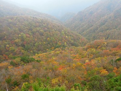 奥峰下展望台から