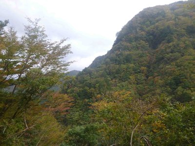 02シャッポ山への急斜面.jpg (202.26 KiB) 閲覧された回数 5237 回 シャッポ山への急斜面