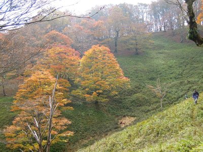 「ヒキウス平」