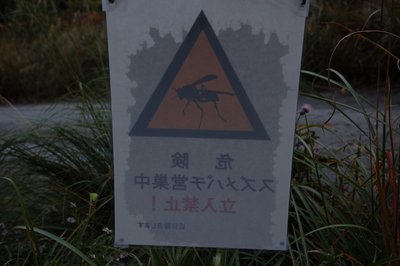 強烈な目覚まし効果