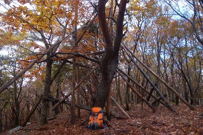 国吉展望台.jpg (285.11 KiB) 閲覧された回数 4622 回 昔は上に登れました