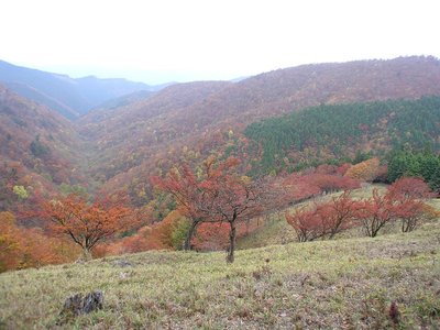 随分昔の画像です(^^;