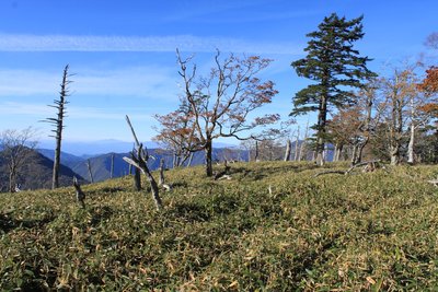 房小山の先.jpg (806.41 KiB) 閲覧された回数 10129 回 ザ・深南部