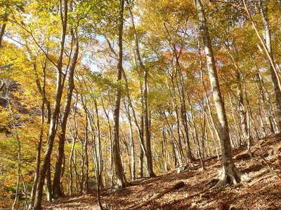 20121103-55.jpg (194.45 KiB) 閲覧された回数 7720 回 20121103-55.jpg