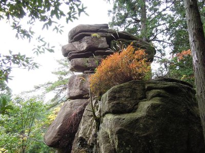 お金明神.jpg (189.88 KiB) 閲覧された回数 3713 回 いつも不思議なお金明神