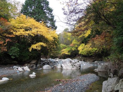 愛知川の紅葉.jpg (183.04 KiB) 閲覧された回数 3715 回 愛知川の紅葉