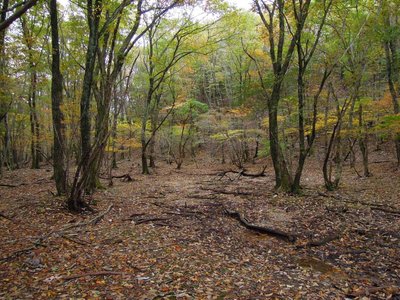 鈴鹿の上高地対岸.jpg (176.74 KiB) 閲覧された回数 3715 回 鈴鹿の上高地対岸