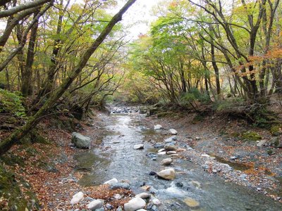 石棚.jpg (169.85 KiB) 閲覧された回数 3725 回 鈴鹿の上高地の石棚ーーーもうちょっと水量があれば...