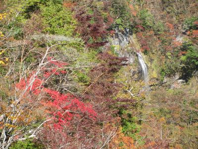焼け尾根から見下ろした不動滝