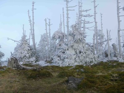 01樹氷.jpg (150.1 KiB) 閲覧された回数 15066 回 今シーズン初めての樹氷