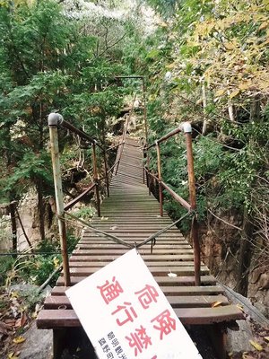 ●この橋渡れるもんなら渡ってみてみ。<br />　　　　　　　　　橋も傾いてまっせ、気持ちは真っ直ぐにです。