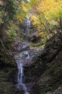 ここでは１カットのみの撮影でした