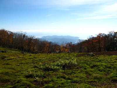 苔辻（坊主上ヶ峠）